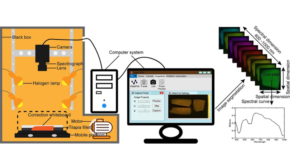 高光谱成像技术在鱼类品质检测研究中的应用进展
