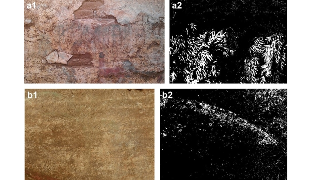 高光谱成像：文物保护领域的"科技之眼"