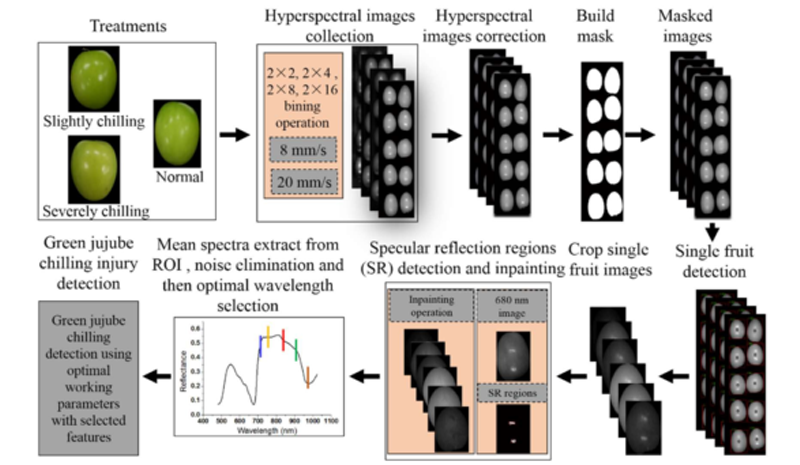 高光谱成像技术在红枣研究中的应用进展（上）