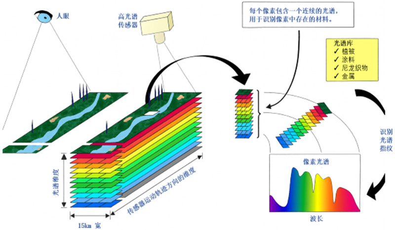 高光谱数据到底怎么看？从原始信号到真实光谱特征