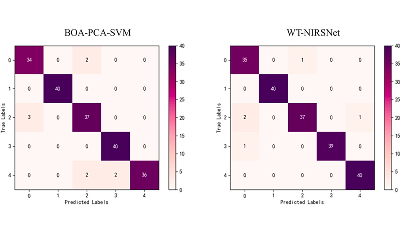 采用近红外高光谱成像技术快速检测核桃内源杂质